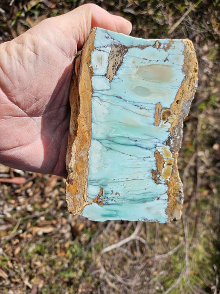 Polished Variscite   VP277