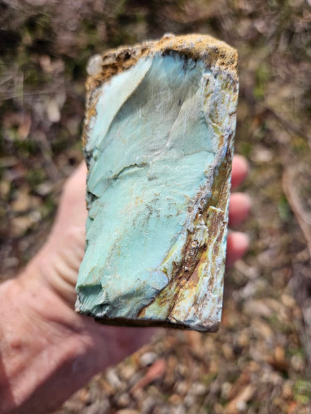 Polished Variscite   VP277