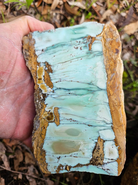 Polished Variscite   VP277