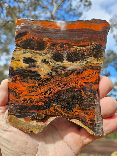 Polished  Snakeskin Jasper slab SS184