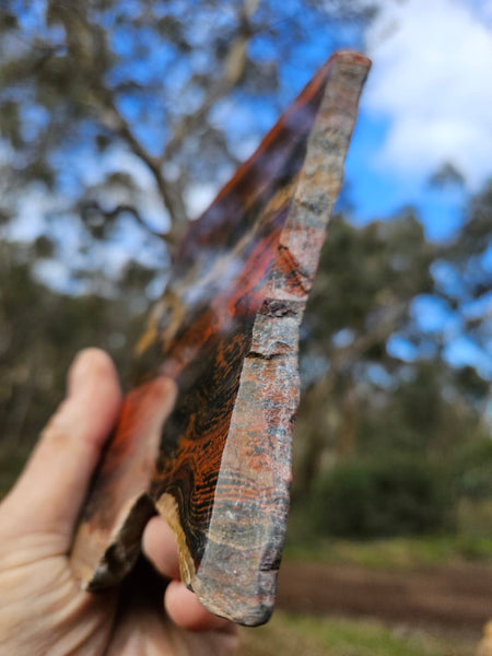 Polished  Snakeskin Jasper slab SS184