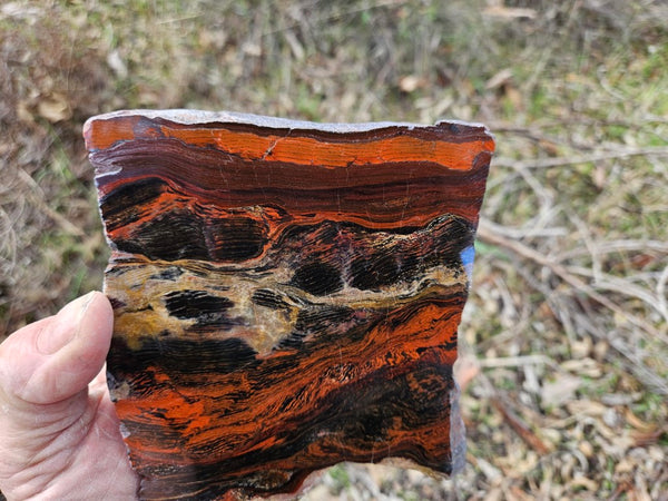 Polished  Snakeskin Jasper slab SS184