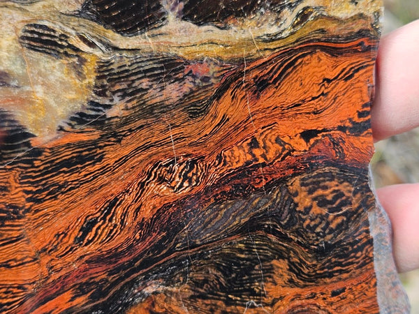 Polished  Snakeskin Jasper slab SS184