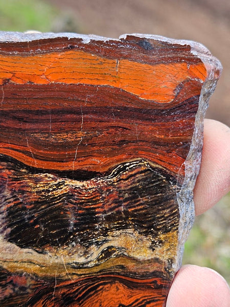 Polished  Snakeskin Jasper slab SS184