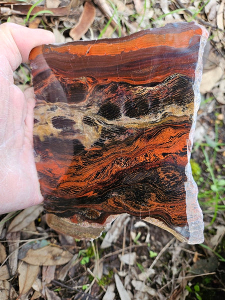 Polished  Snakeskin Jasper slab SS184