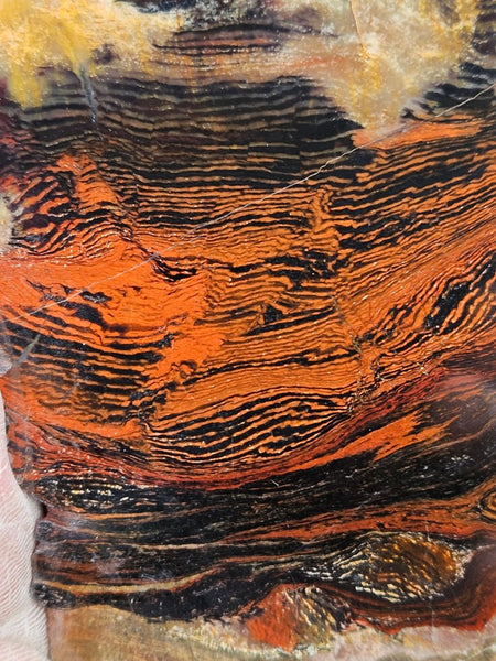 Polished  Snakeskin Jasper slab SS184