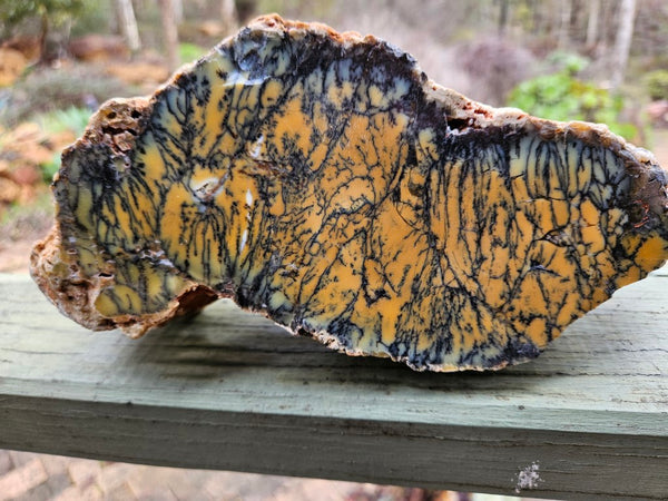 Polished Dendritic Opal DO202