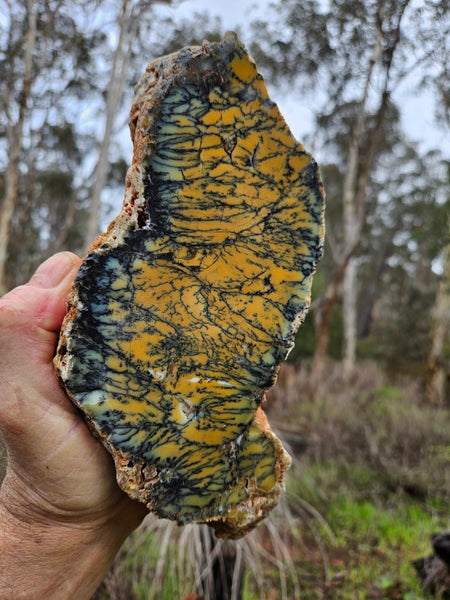 Polished Dendritic Opal DO202