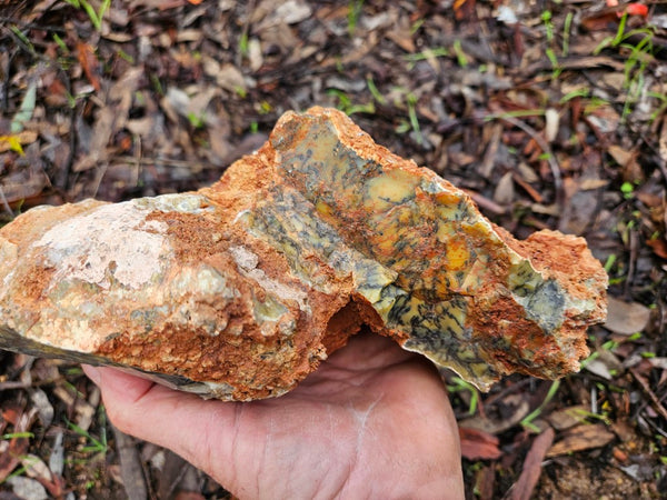 Polished Dendritic Opal DO202