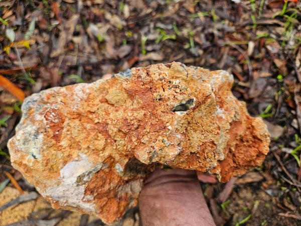 Polished Dendritic Opal DO202