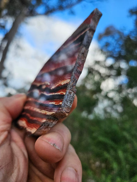 Polished  Snakeskin Jasper slab SS186