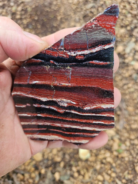 Polished  Snakeskin Jasper slab SS186