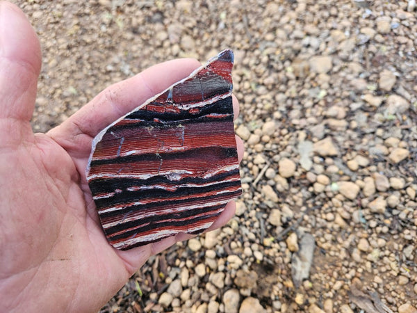 Polished  Snakeskin Jasper slab SS186