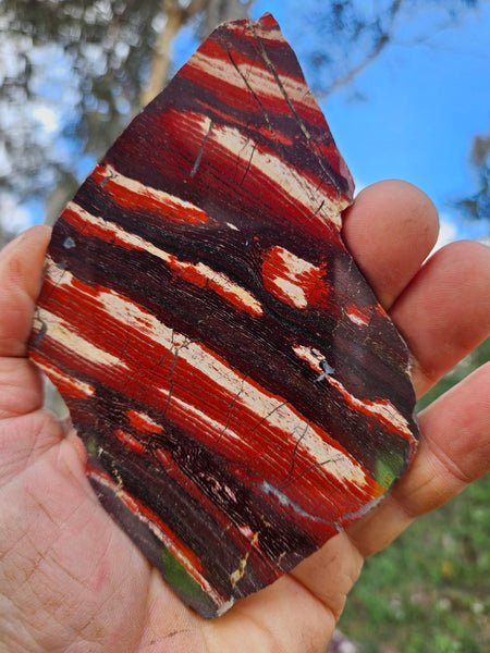 Polished  Snakeskin Jasper slab SS185