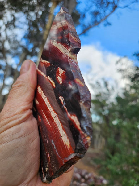 Polished  Snakeskin Jasper slab SS185