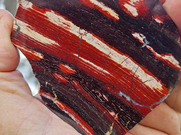 Polished  Snakeskin Jasper slab SS185