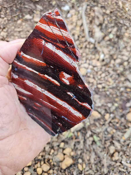 Polished  Snakeskin Jasper slab SS185