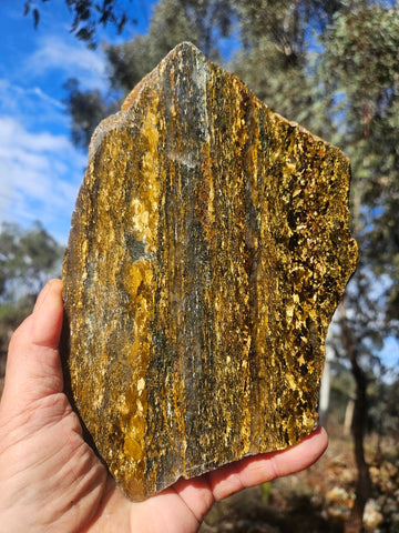 Polished Golden Amphibolite slab GA163
