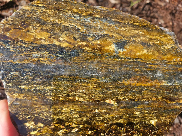 Polished Golden Amphibolite slab GA163