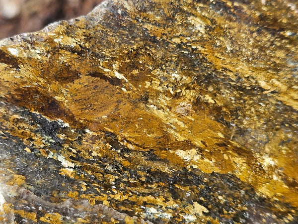 Polished Golden Amphibolite slab GA163