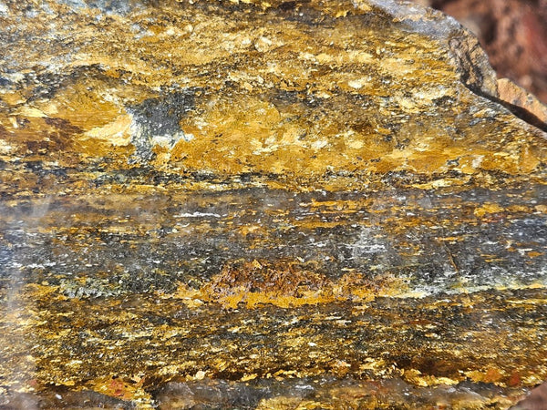 Polished Golden Amphibolite slab GA163