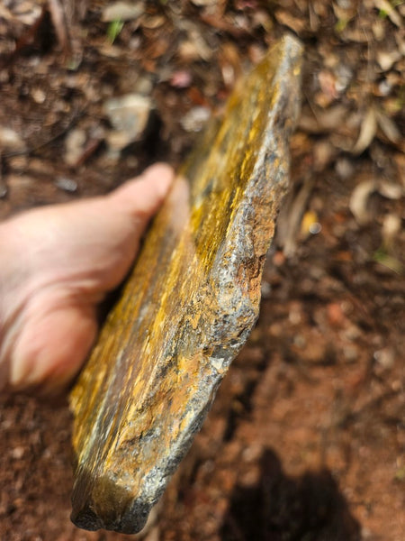 Polished Golden Amphibolite slab GA163