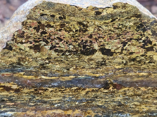 Polished Golden Amphibolite slab GA163