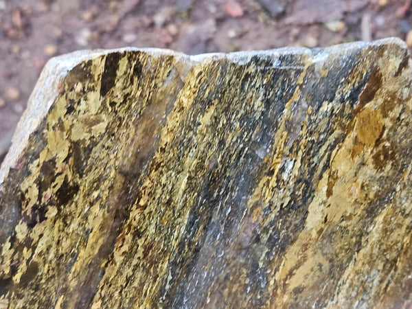 Polished Golden Amphibolite slab GA163