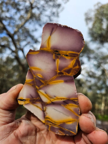 Polished Mookaite slab MK500