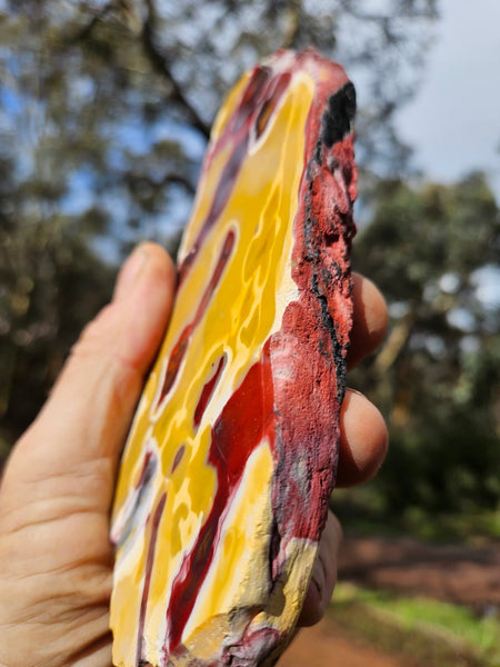 Polished Mookaite slab MK498