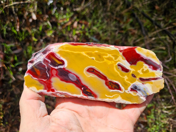 Polished Mookaite slab MK498