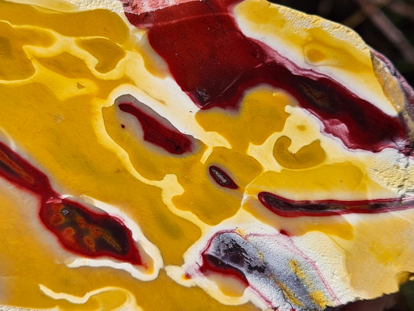 Polished Mookaite slab MK498