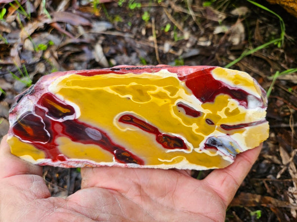 Polished Mookaite slab MK498