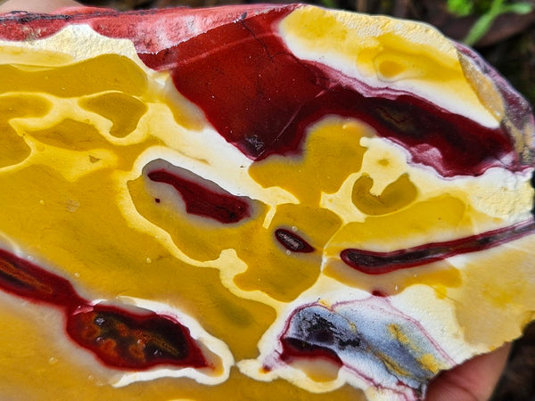 Polished Mookaite slab MK498