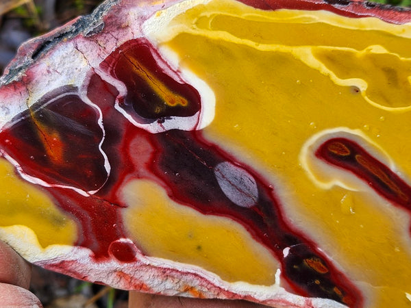 Polished Mookaite slab MK498