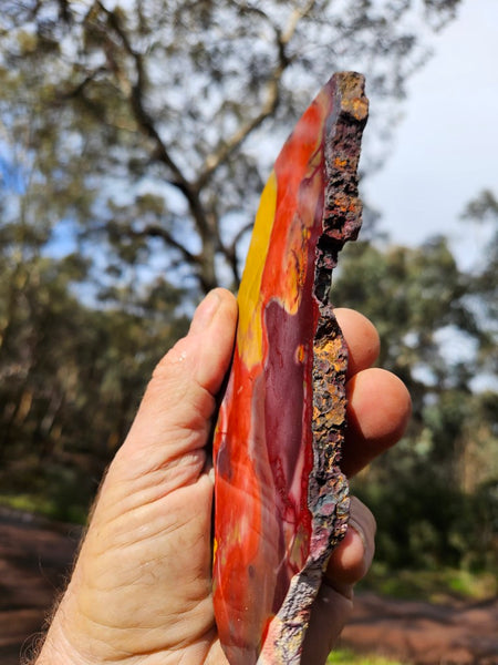 Polished Mookaite slab MK499