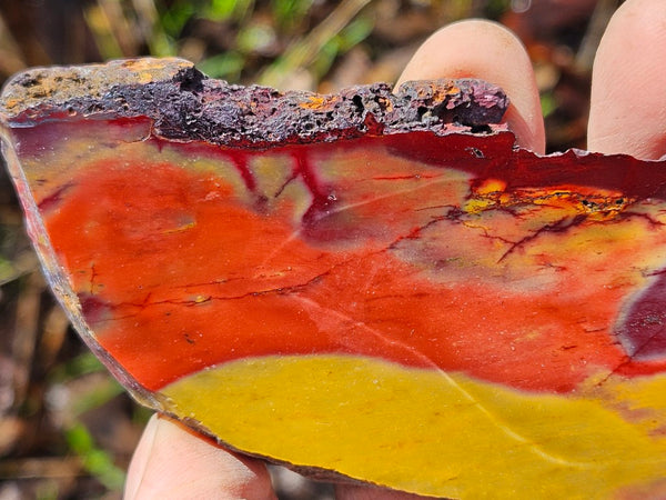 Polished Mookaite slab MK499