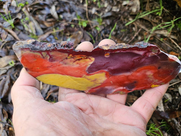 Polished Mookaite slab MK499