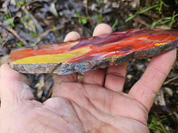 Polished Mookaite slab MK499