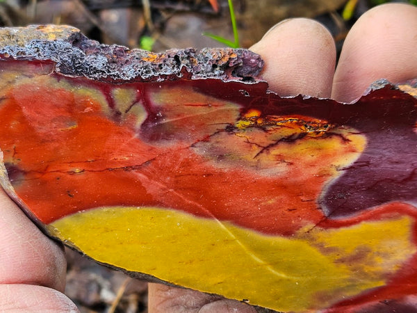 Polished Mookaite slab MK499