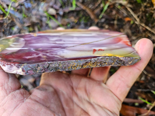 Polished Mookaite slab MK497