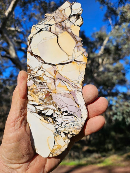 Polished Brecciated Mookaite slab BM313