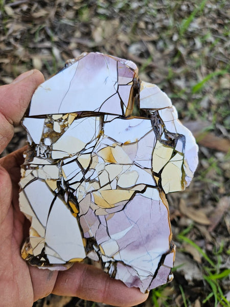 Polished Brecciated Mookaite slab BM314