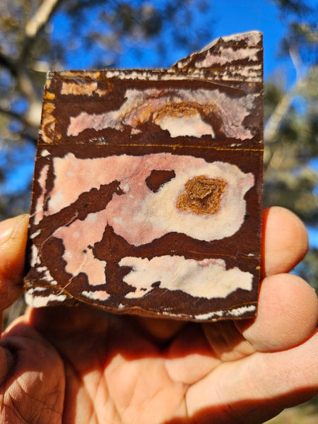 Polished Outback Jasper slab OJ187