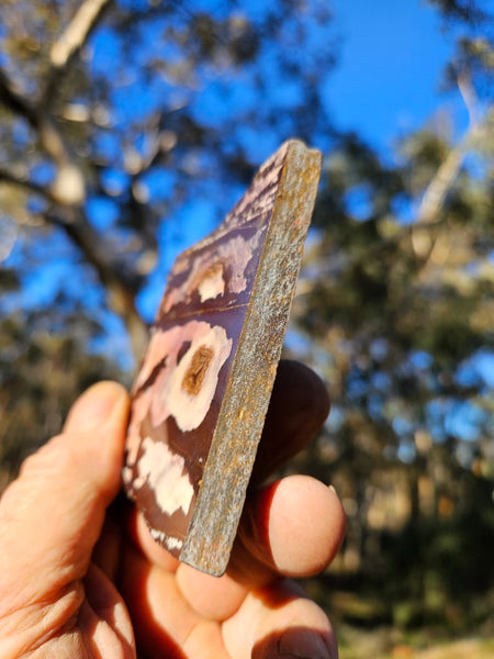 Polished Outback Jasper slab OJ187