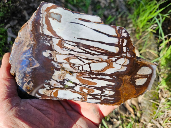 Polished Outback Jasper slab OJ186