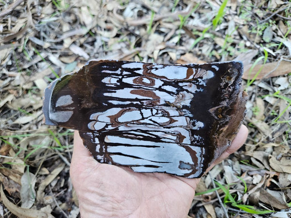 Polished Outback Jasper slab OJ186