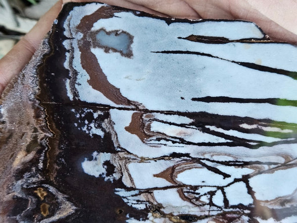 Polished Outback Jasper slab OJ186