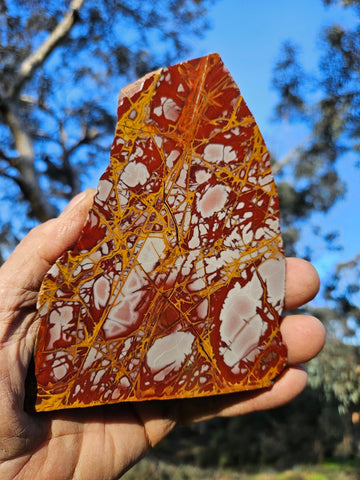 Polished Noreena Jasper slab. NJ471