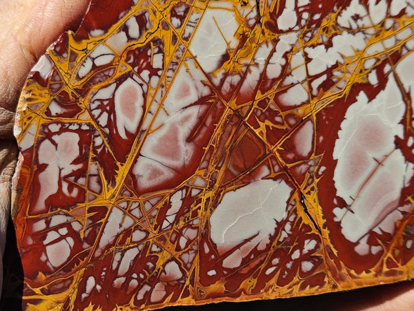 Polished Noreena Jasper slab. NJ471